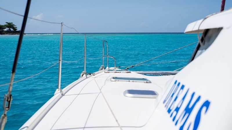 VIP Catamaran Cruise