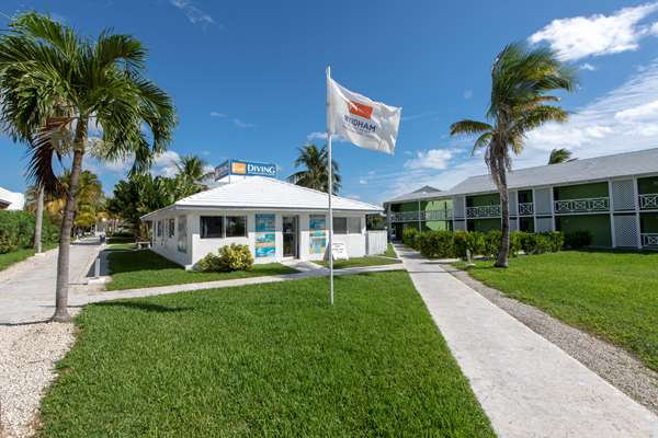 Viva Fortuna Beach by Wyndham (Check Current Status & Policies)