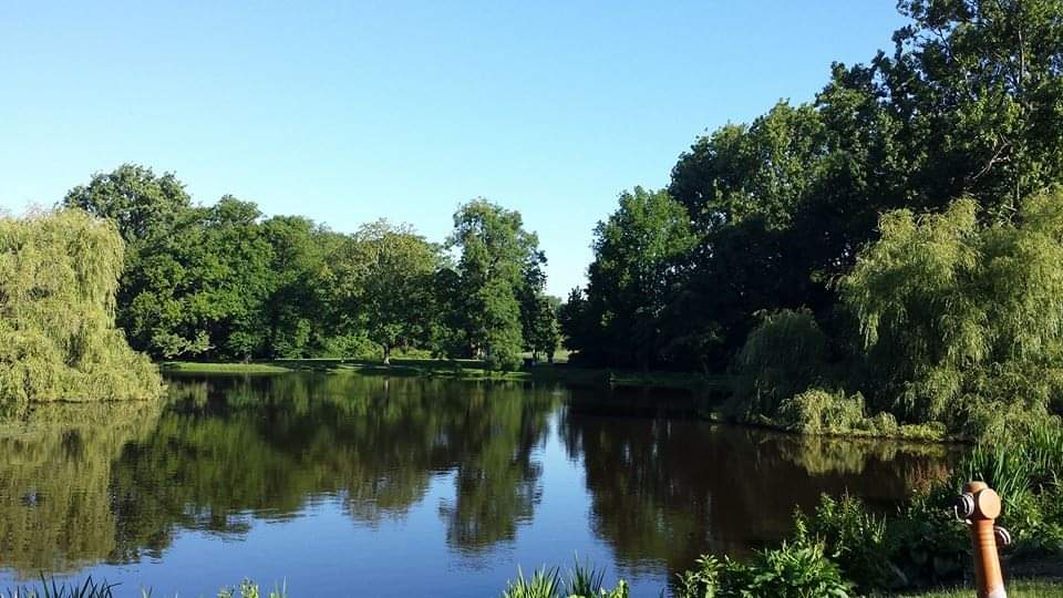Vondelpark Afternoon Walk