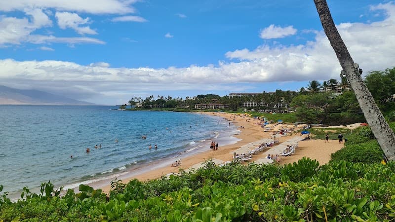 Wailea Beach Snorkeling & Swim