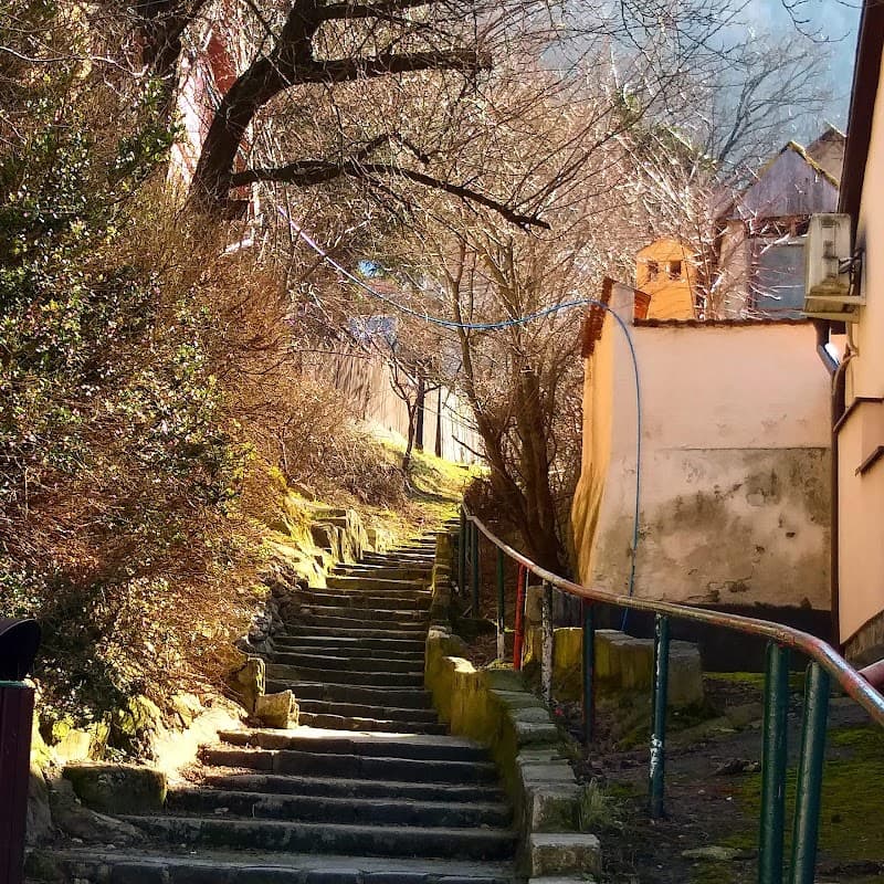Wander the Șchei Neighborhood