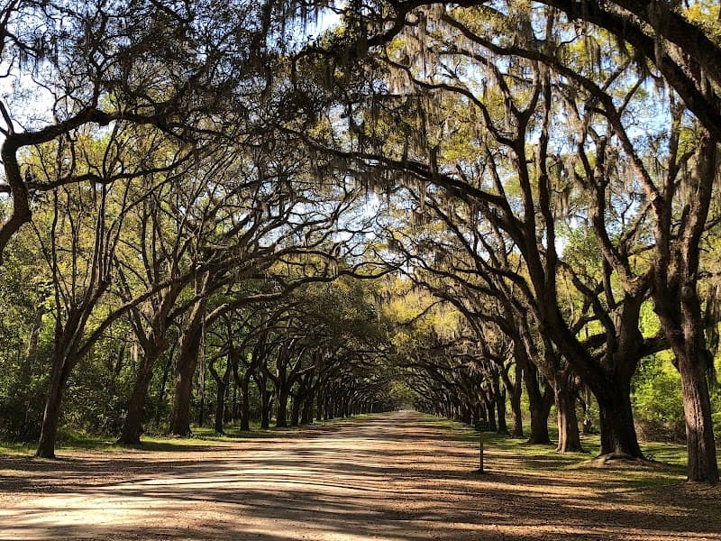 Wormsloe Historic Site
