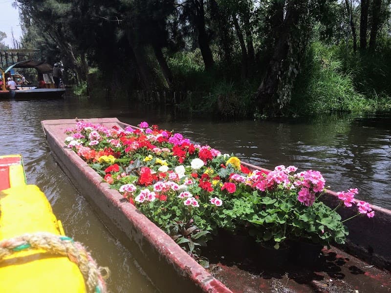 Xochimilco Trajinera Ride