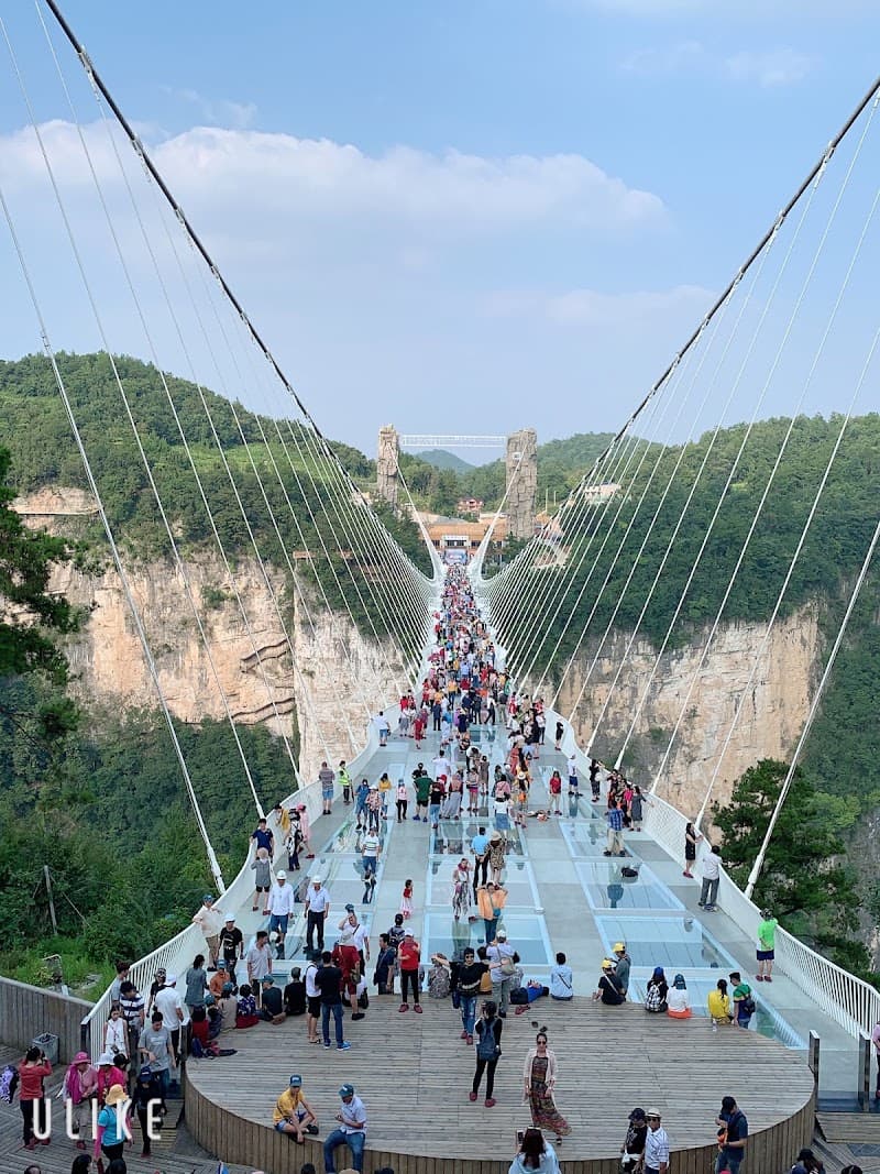 Zhangjiajie Grand Canyon Glass Bridge & Zipline