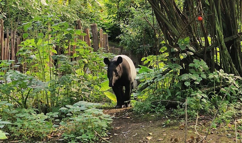 Zoo Leipzig