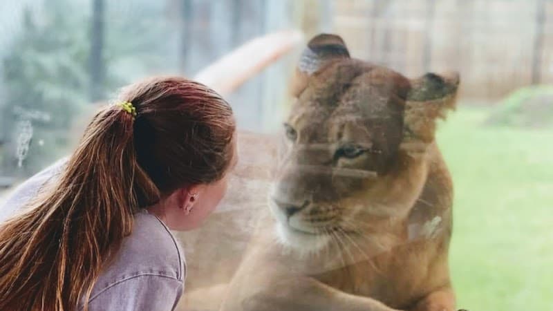 ZooWorld